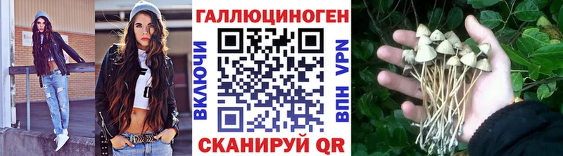 Псилоцибиновые грибы мухоморы  Купить где  Среднеуральск 